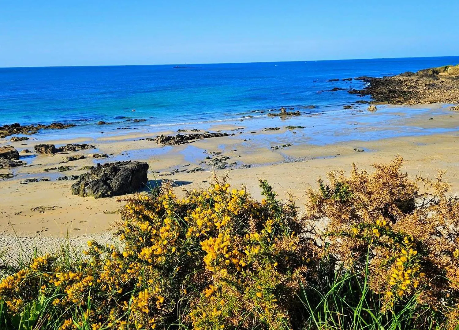 Gite Les Mouettes Qui Caquetent Moëlan-sur-Mer Сasa de vacaciones