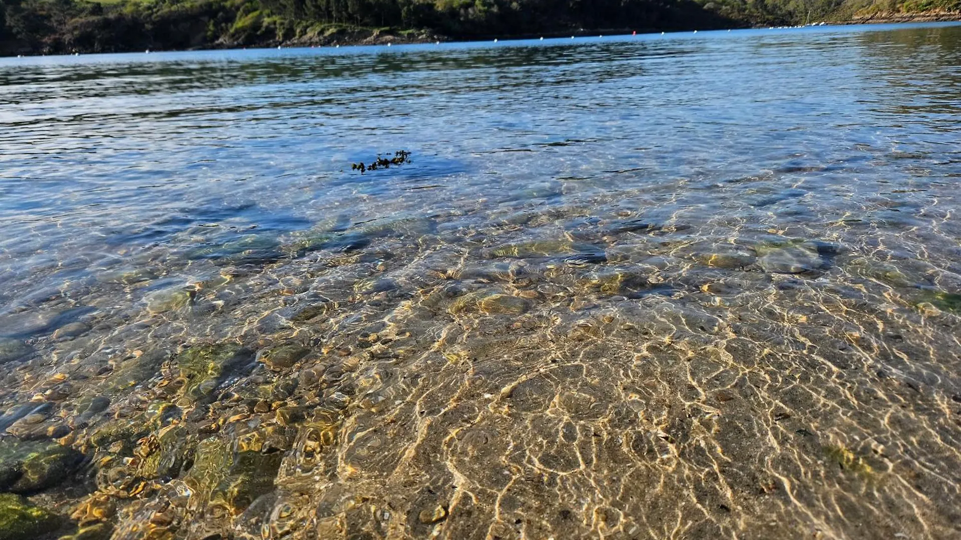 Gite Les Mouettes Qui Caquetent Moëlan-sur-Mer 0*,